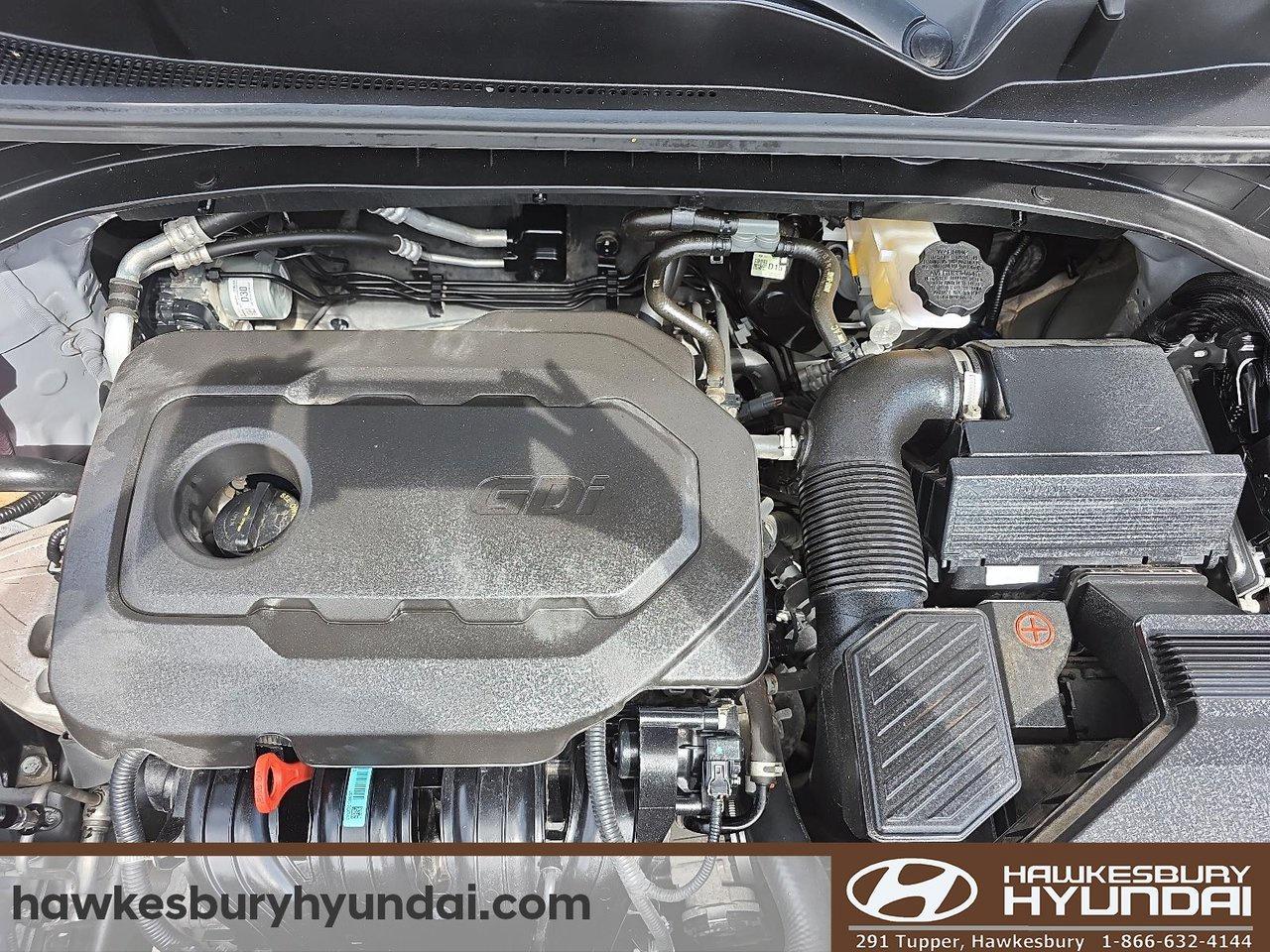 2022 Kia Sportage  Photo