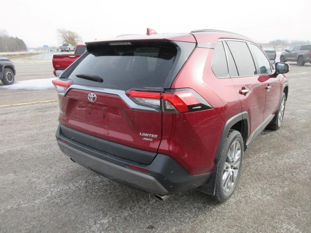 2021 Toyota RAV4 LIMITED AWD Photo