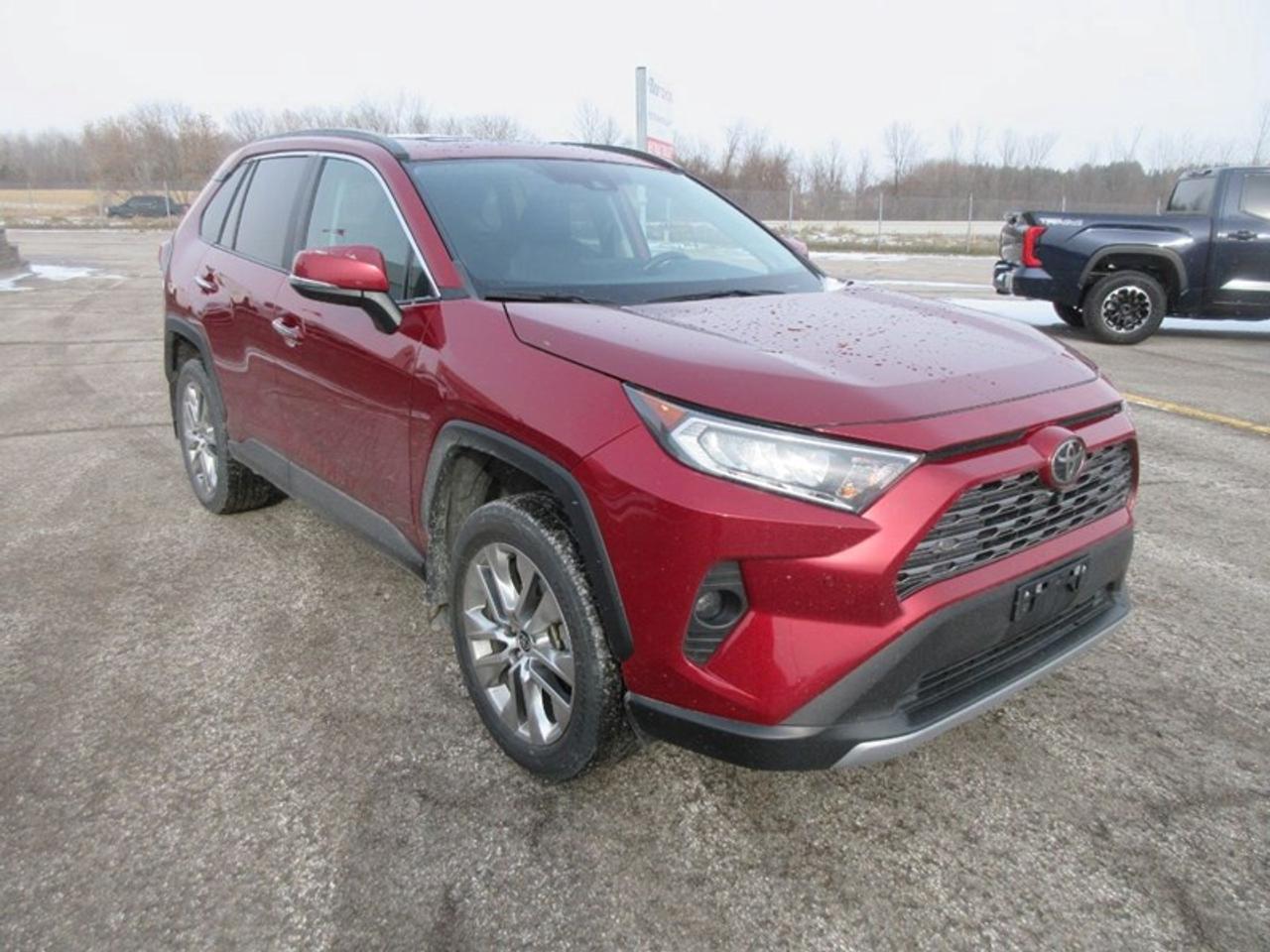 2021 Toyota RAV4 LIMITED AWD Photo