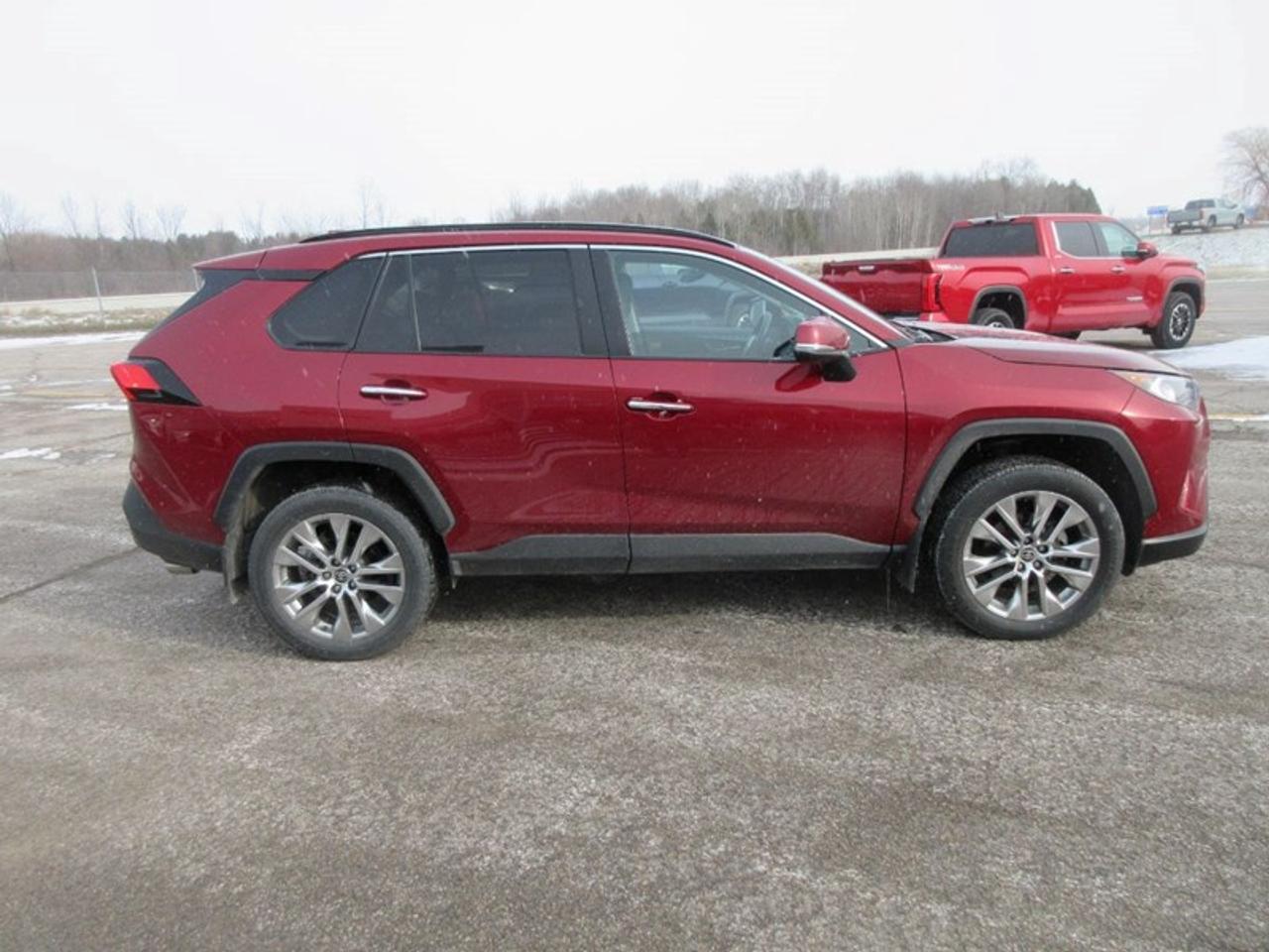 2021 Toyota RAV4 LIMITED AWD Photo