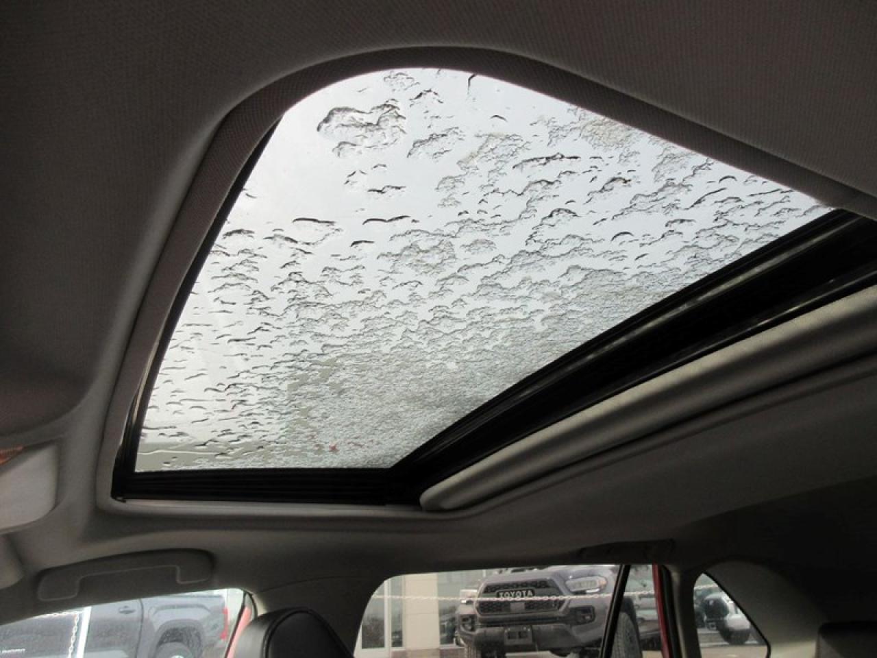 2021 Toyota RAV4 LIMITED AWD Photo