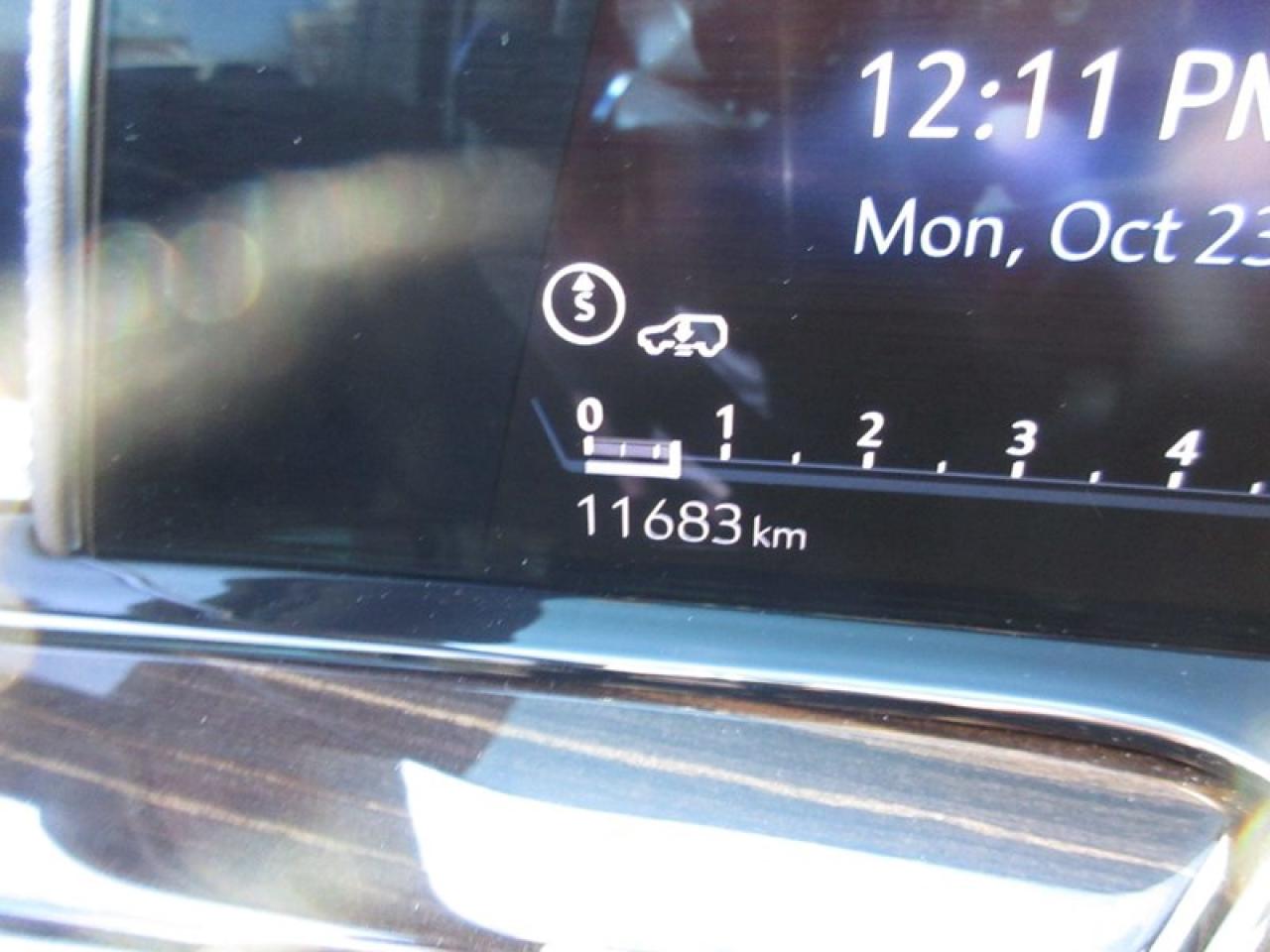 2023 Cadillac Escalade  Photo