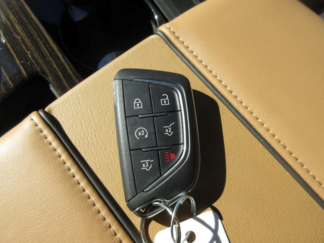 2023 Cadillac Escalade  Photo