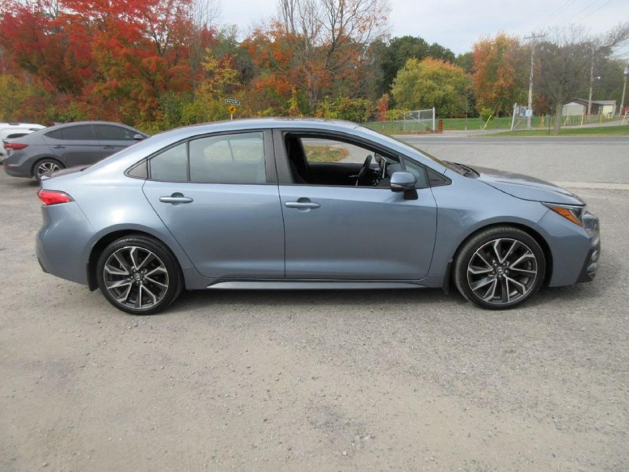 2020 Toyota Corolla SE Photo