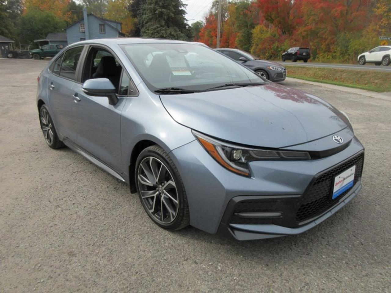 2020 Toyota Corolla SE Photo
