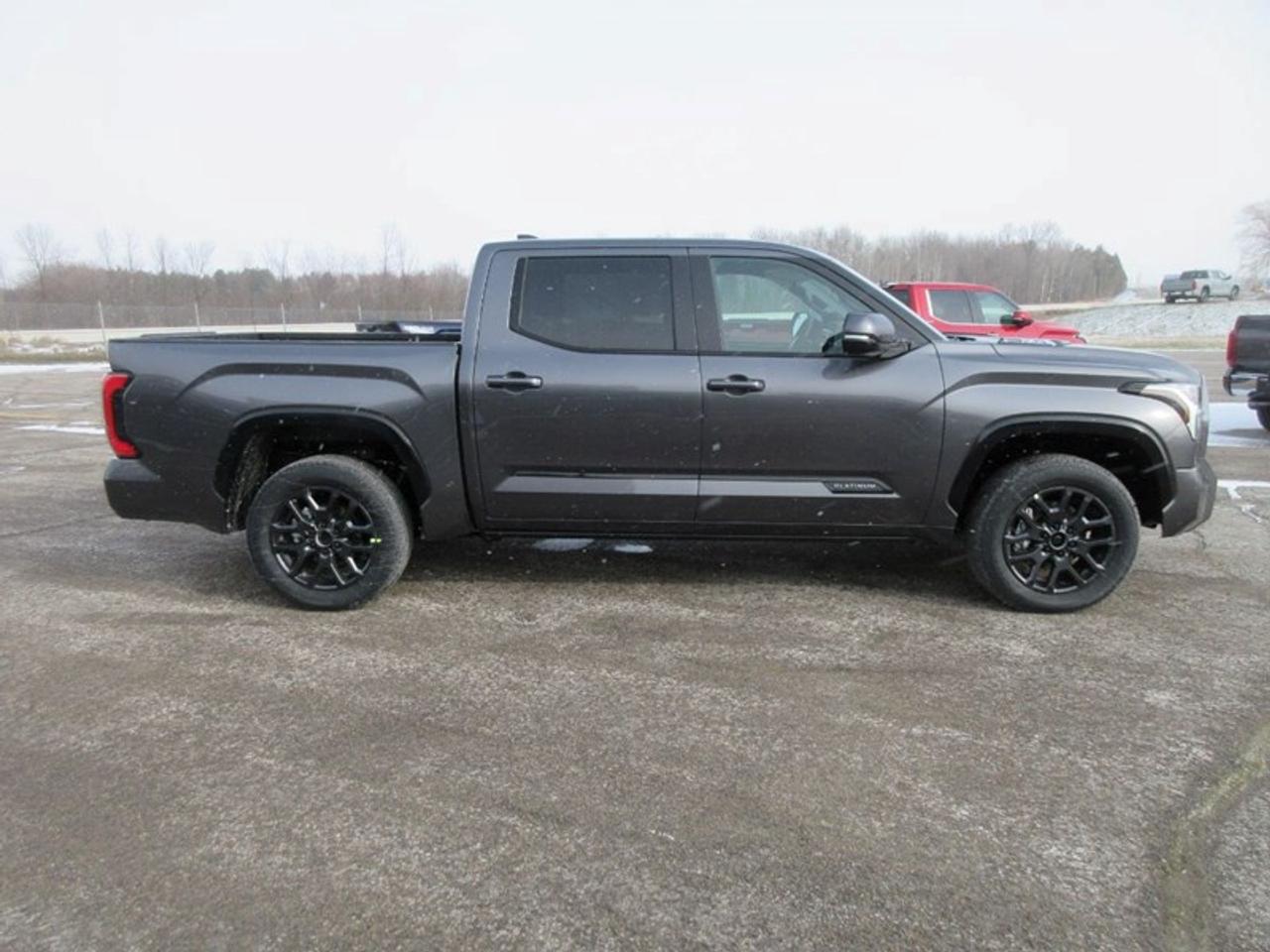 2024 Toyota Tundra Plantium  CrewMax Photo