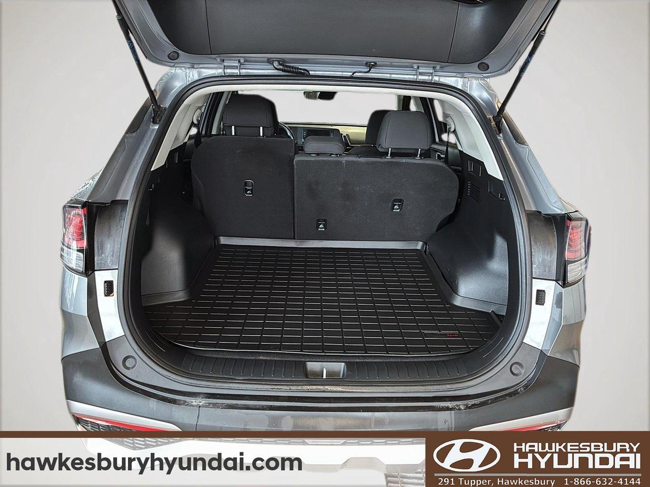 2023 Kia Sportage LX Photo