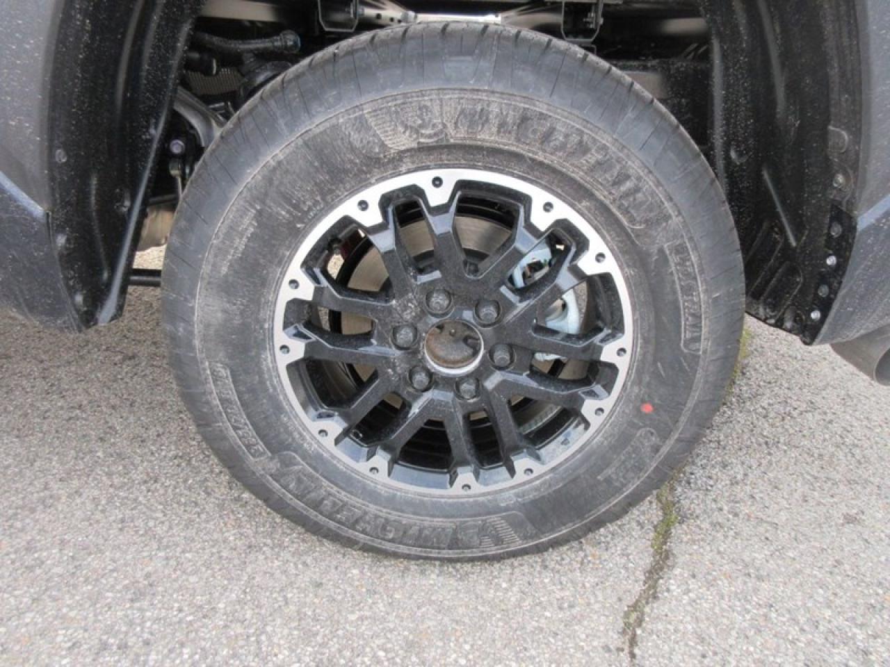 2024 Toyota Tundra SR Crew Max Photo