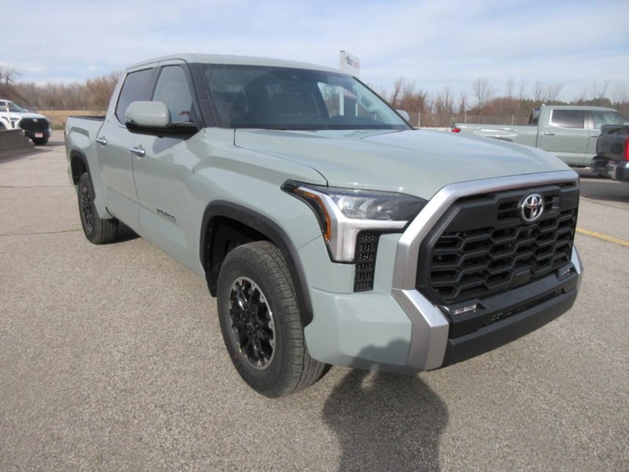 2024 Toyota Tundra Limited CREW MAX Photo