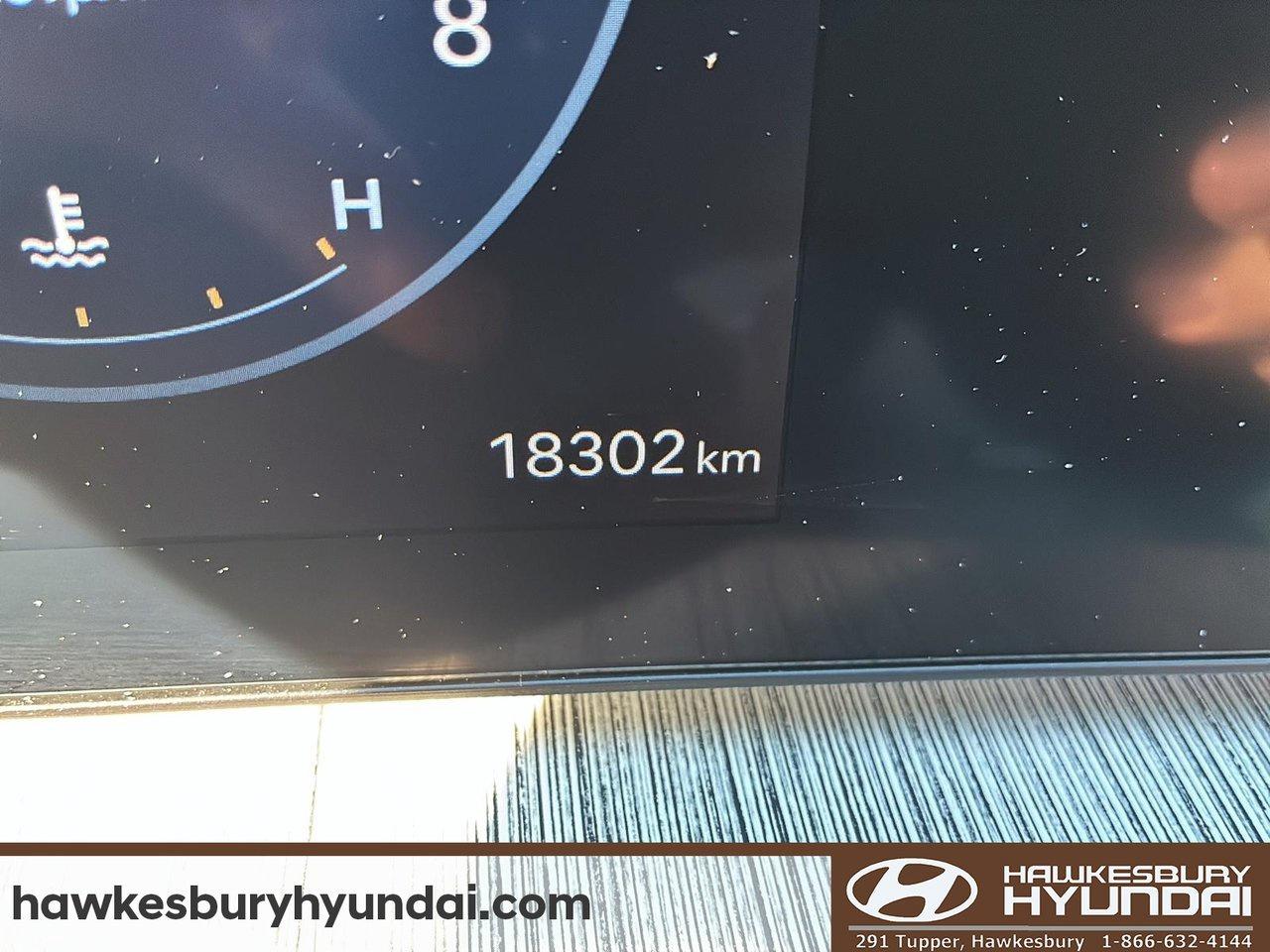 2025 Hyundai Santa Fe Ultimate Calligraphy Photo