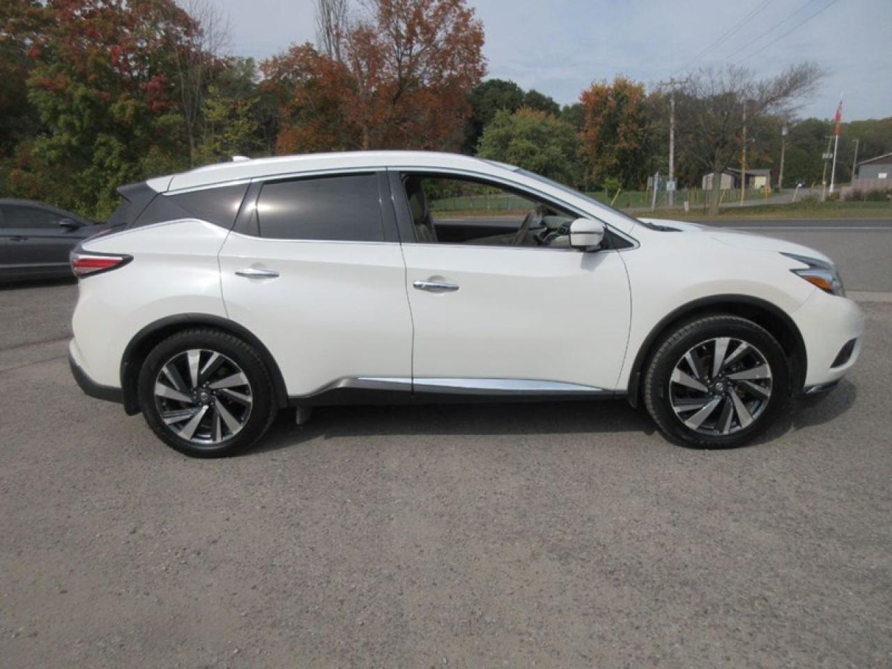 2017 Nissan Murano Platinum AWD Photo