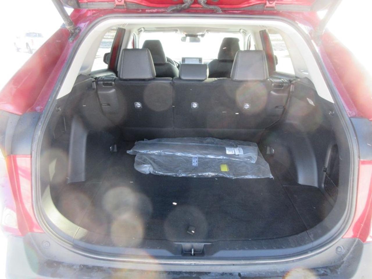 2019 Toyota RAV4 XLE Premium Photo4