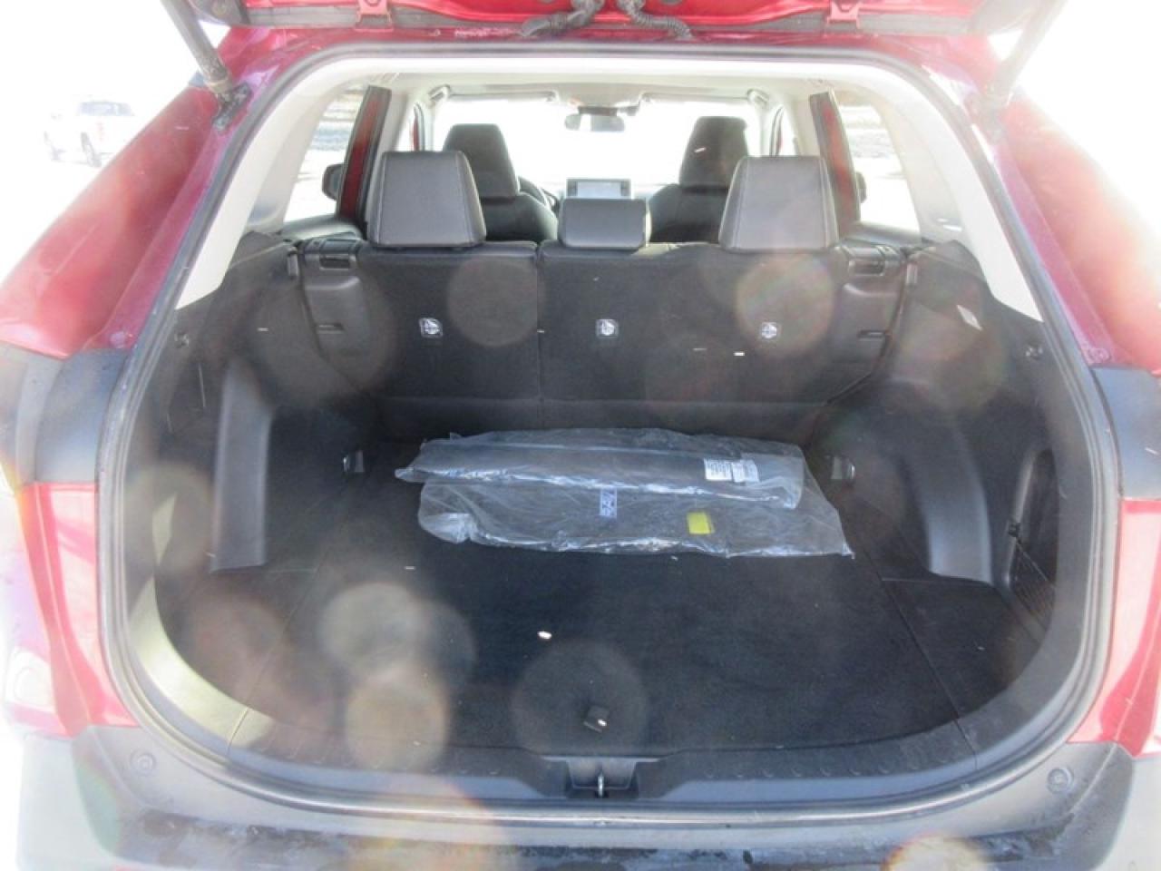 2019 Toyota RAV4 XLE Premium Photo