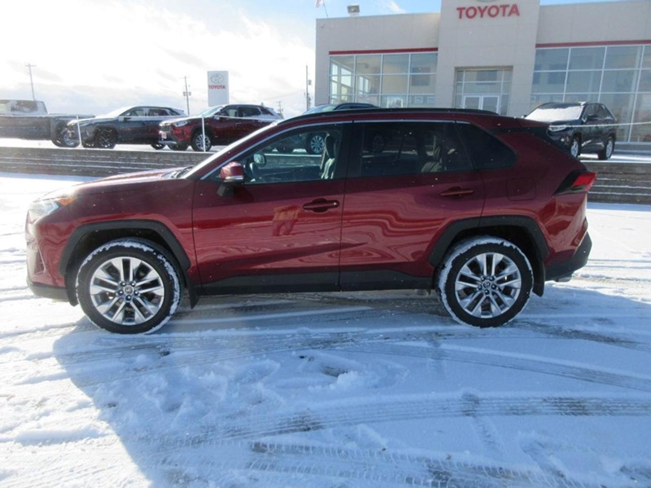 2019 Toyota RAV4 XLE Premium Photo