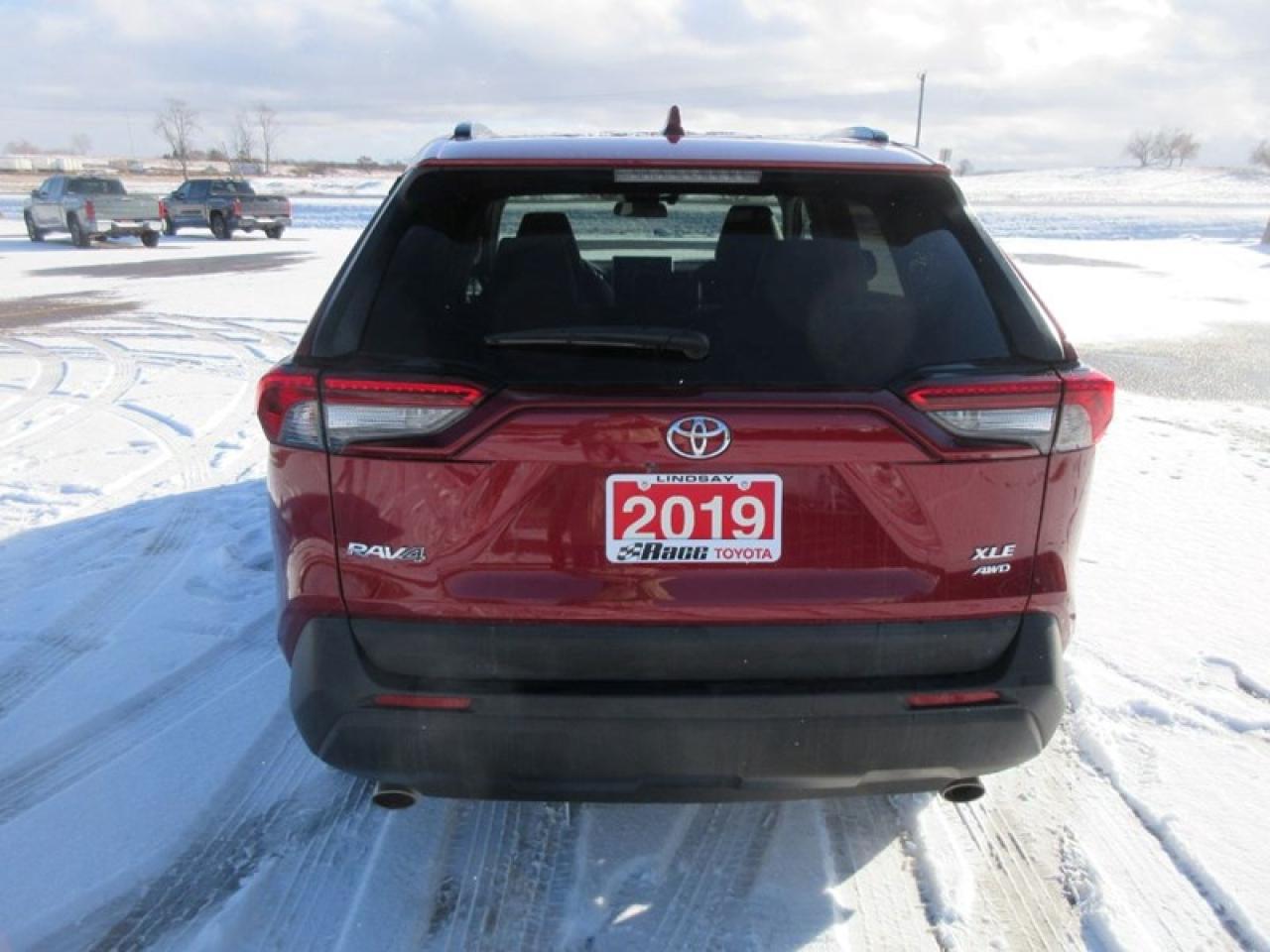 2019 Toyota RAV4 XLE Premium Photo3