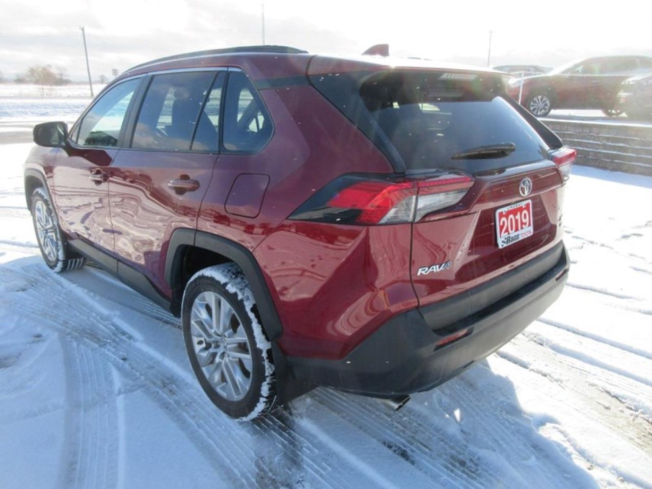 2019 Toyota RAV4 XLE Premium Photo