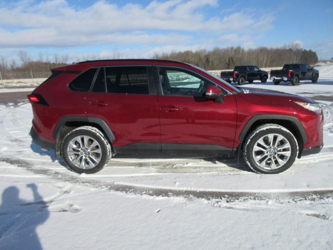 2019 Toyota RAV4 XLE Premium Photo