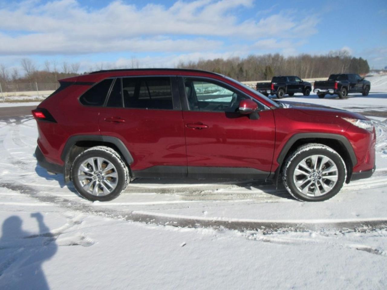 2019 Toyota RAV4 XLE Premium Photo