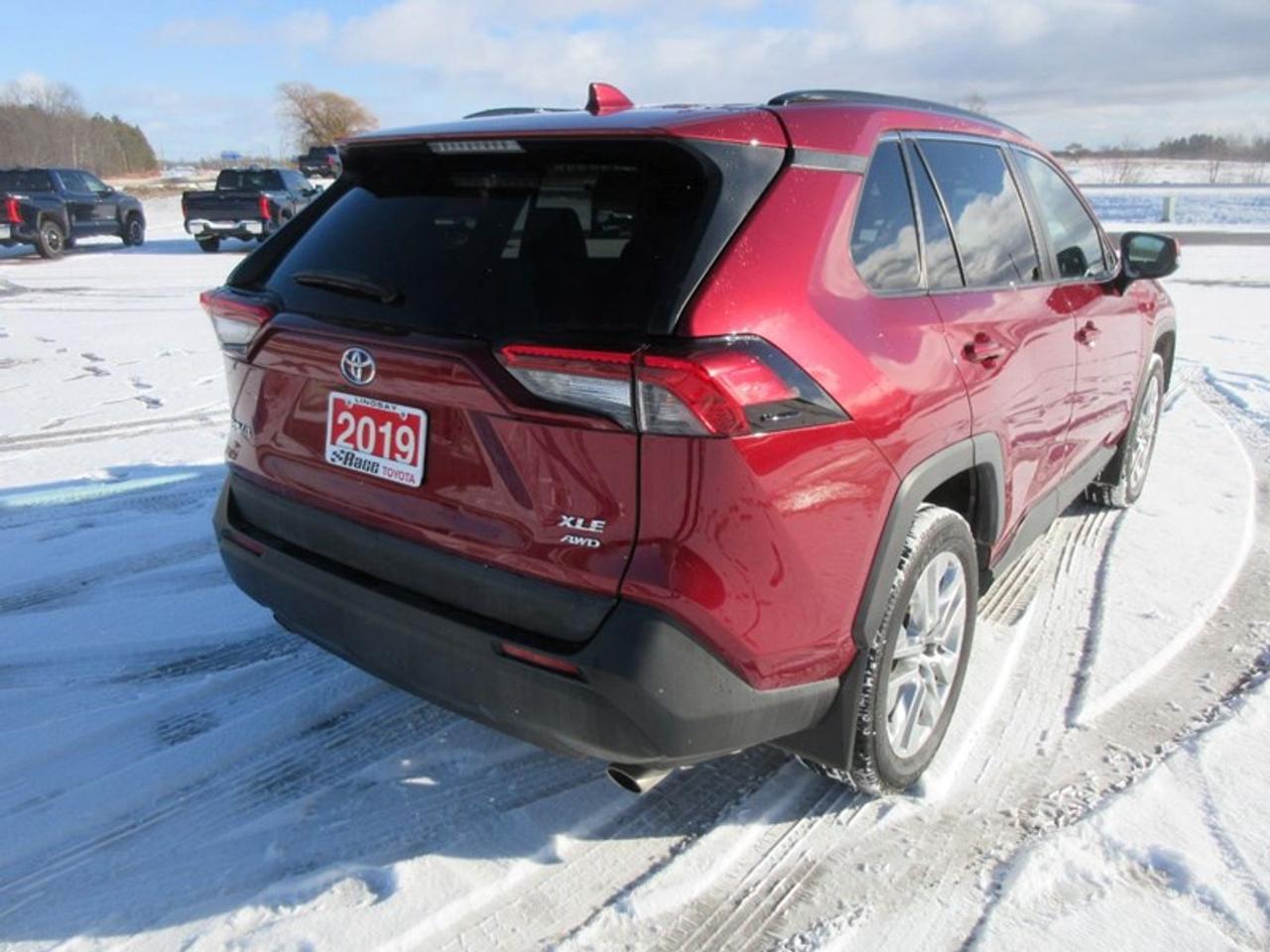 2019 Toyota RAV4 XLE Premium Photo