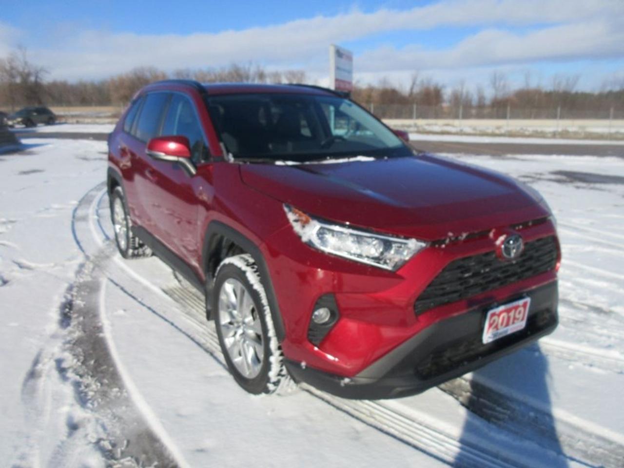 2019 Toyota RAV4 XLE Premium Photo