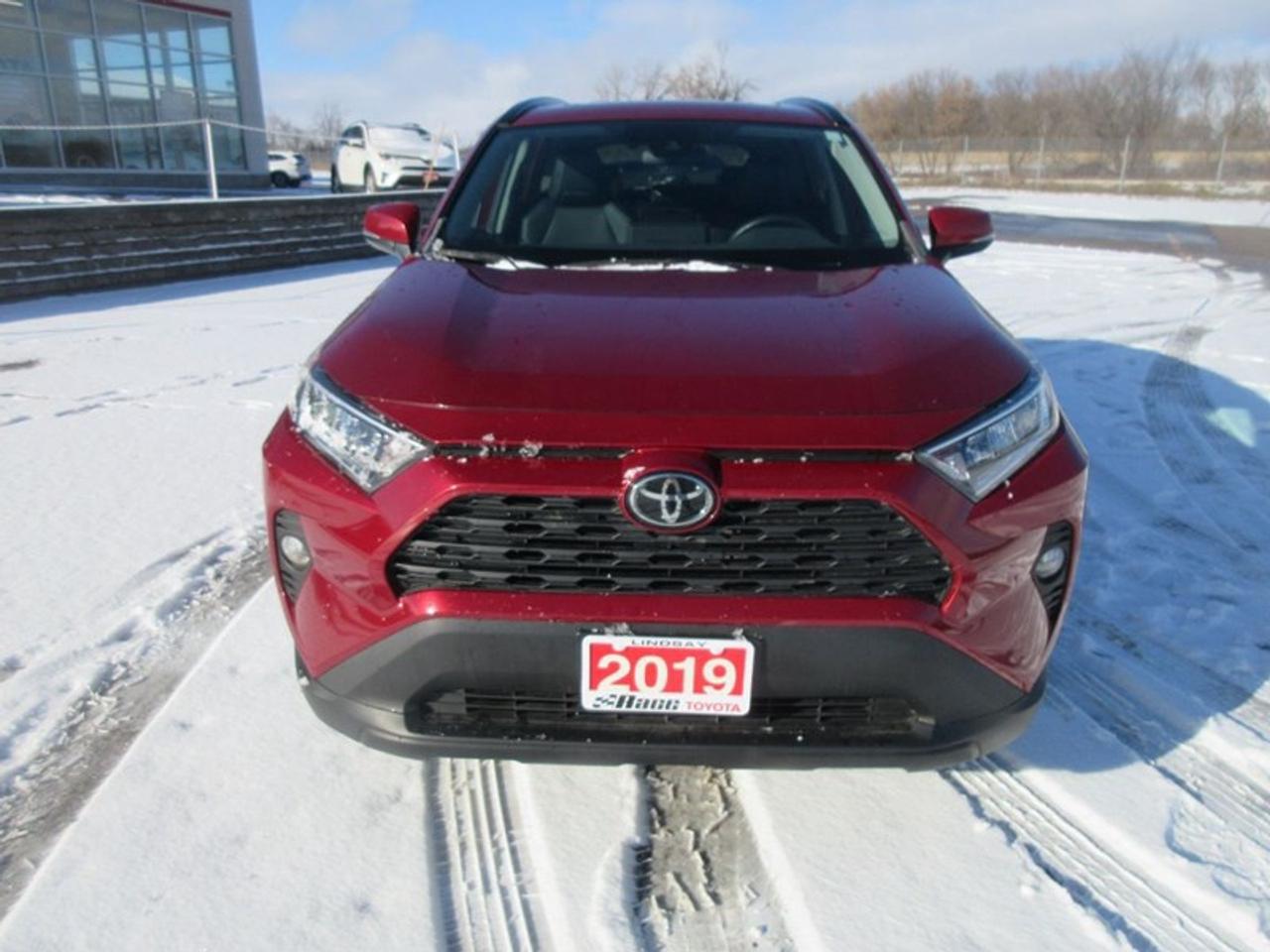2019 Toyota RAV4 XLE Premium Photo