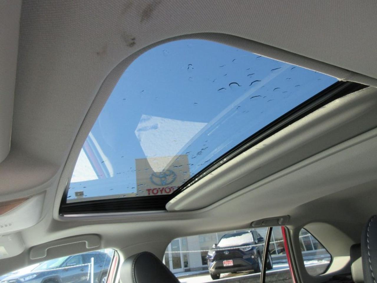 2019 Toyota RAV4 XLE Premium Photo