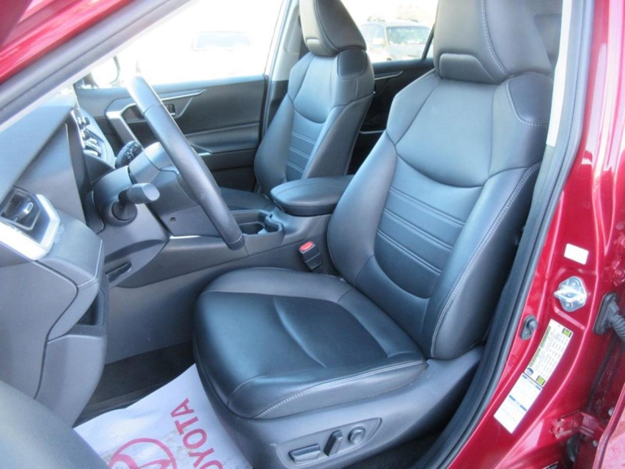 2019 Toyota RAV4 XLE Premium Photo