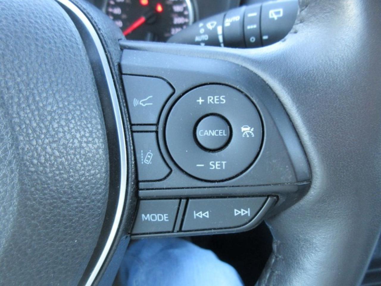 2019 Toyota RAV4 XLE Premium Photo