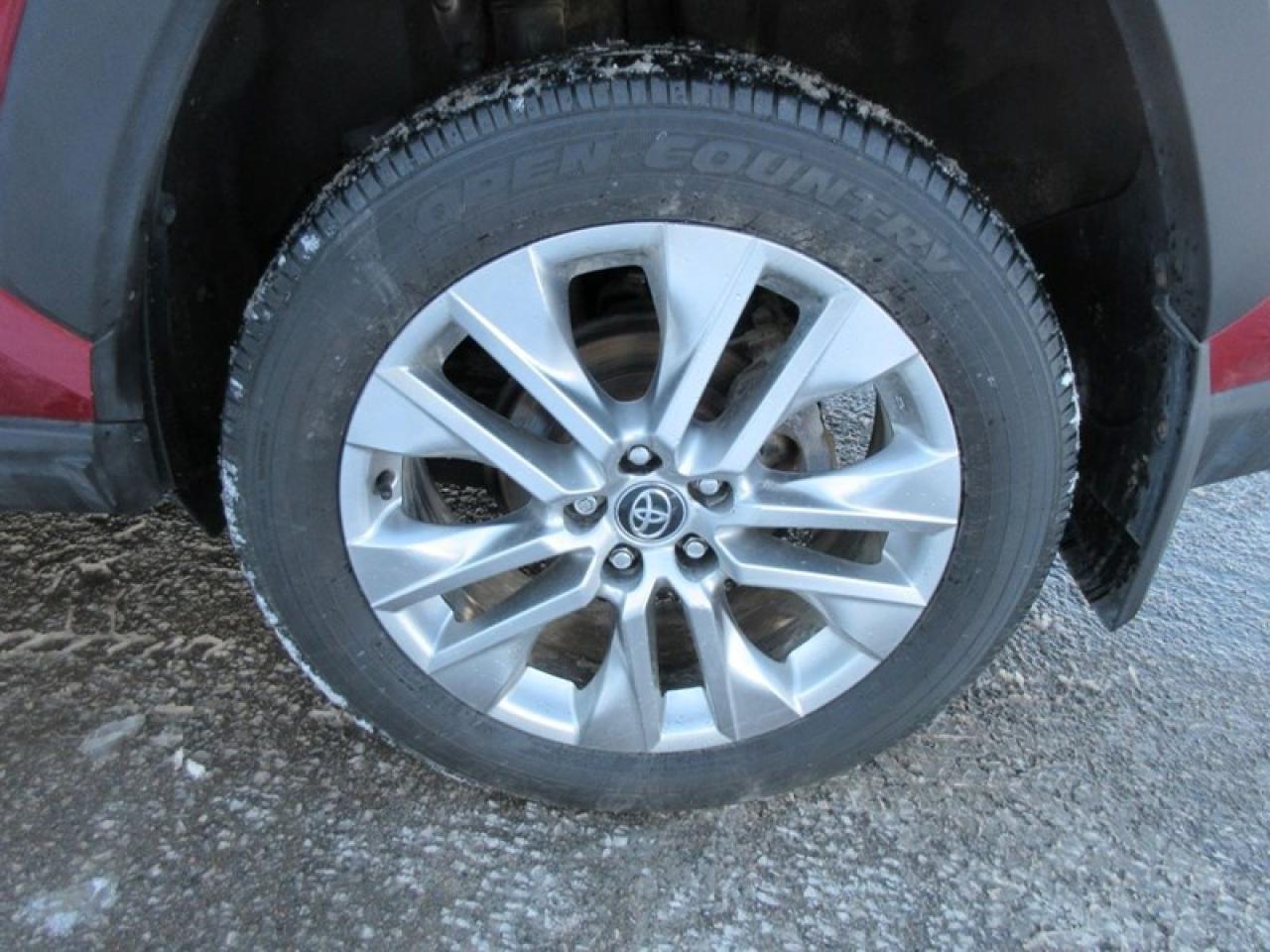 2019 Toyota RAV4 XLE Premium Photo