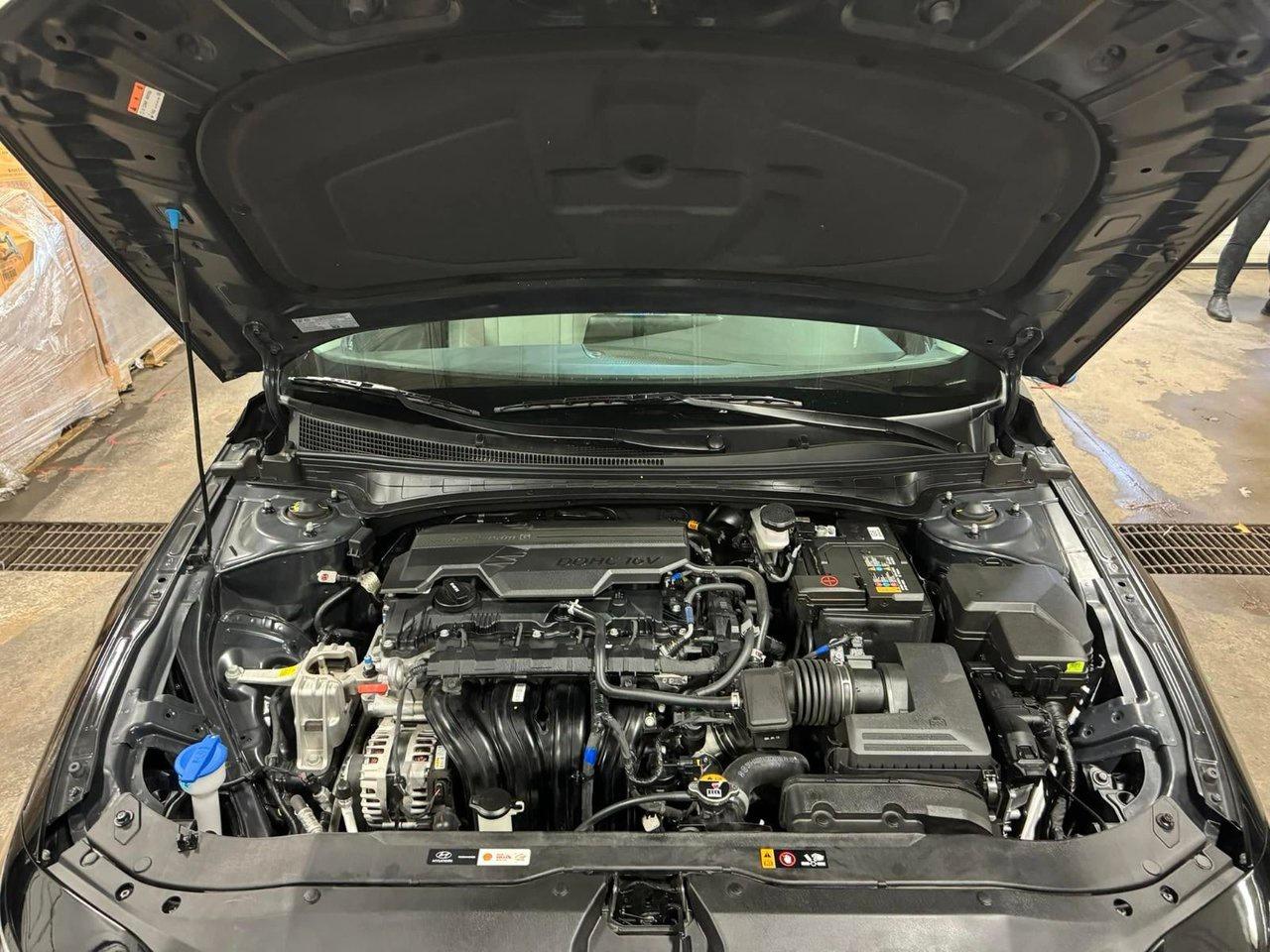 2024 Hyundai Elantra Luxury Photo