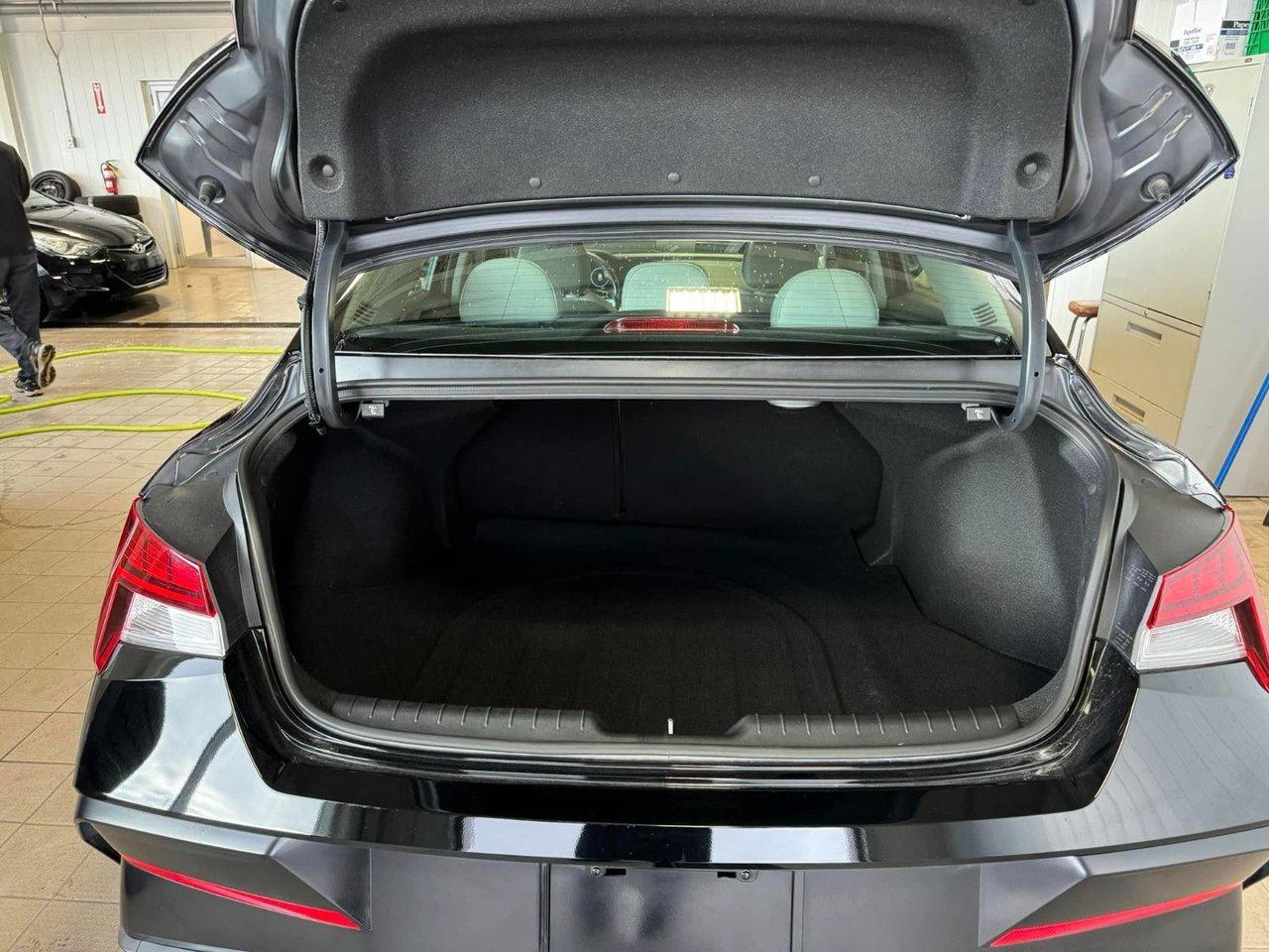 2024 Hyundai Elantra Luxury Photo