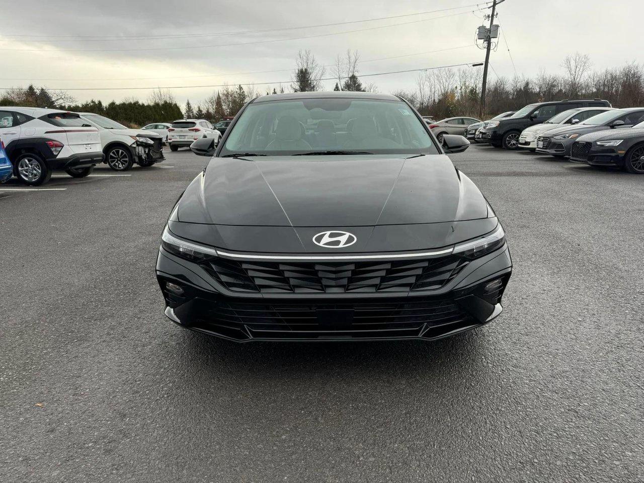 2024 Hyundai Elantra Luxury Photo