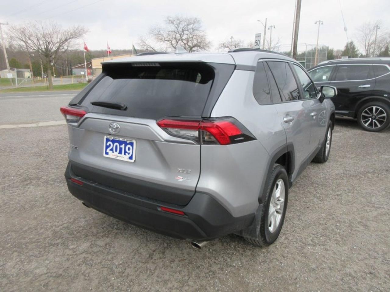 2019 Toyota RAV4 XLE FWD Photo