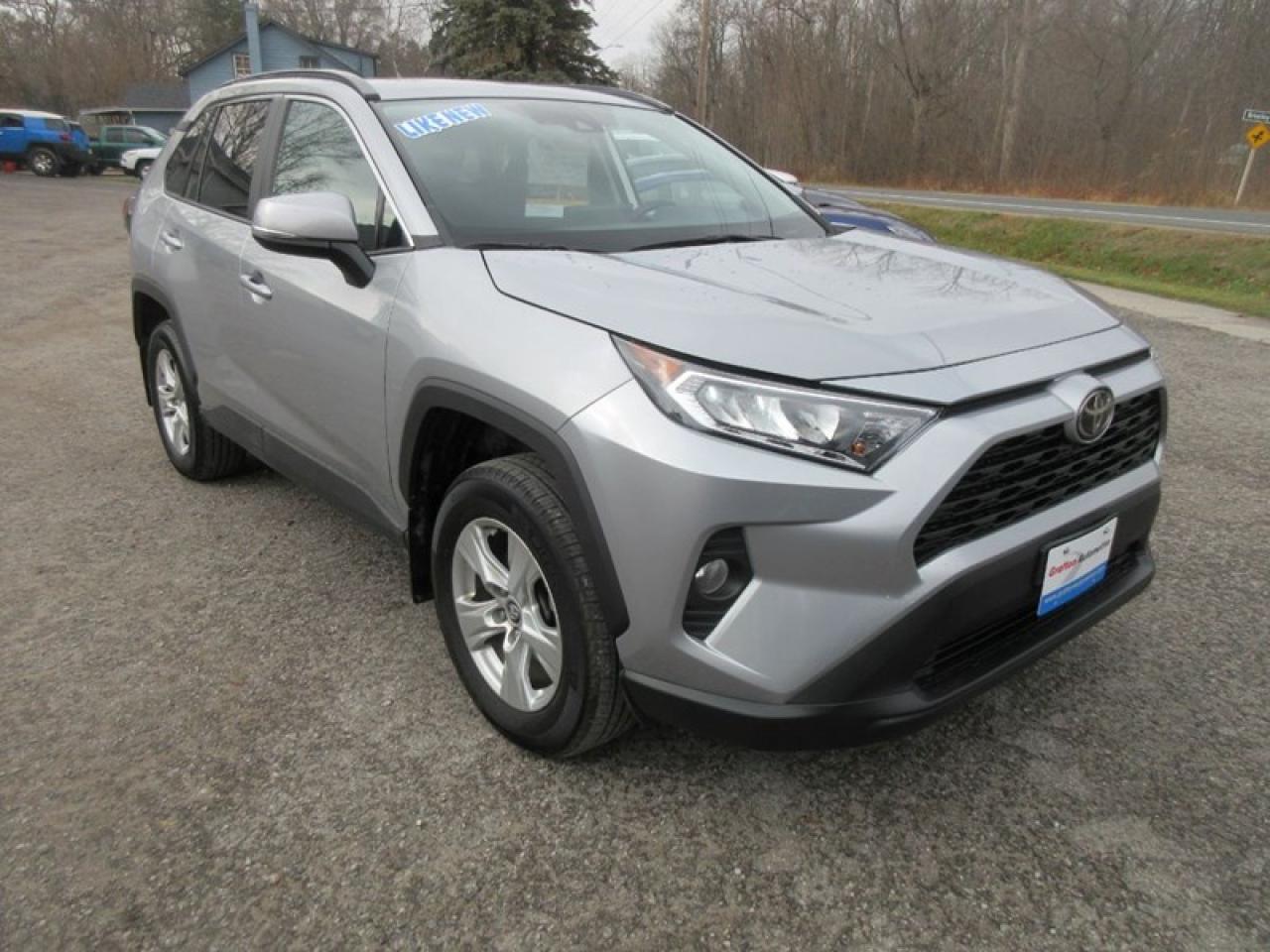 2019 Toyota RAV4 XLE FWD Photo