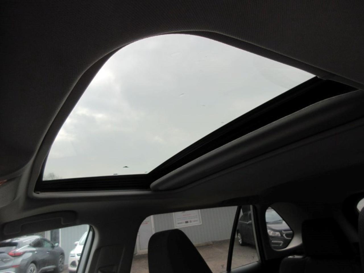 2019 Toyota RAV4 XLE FWD Photo