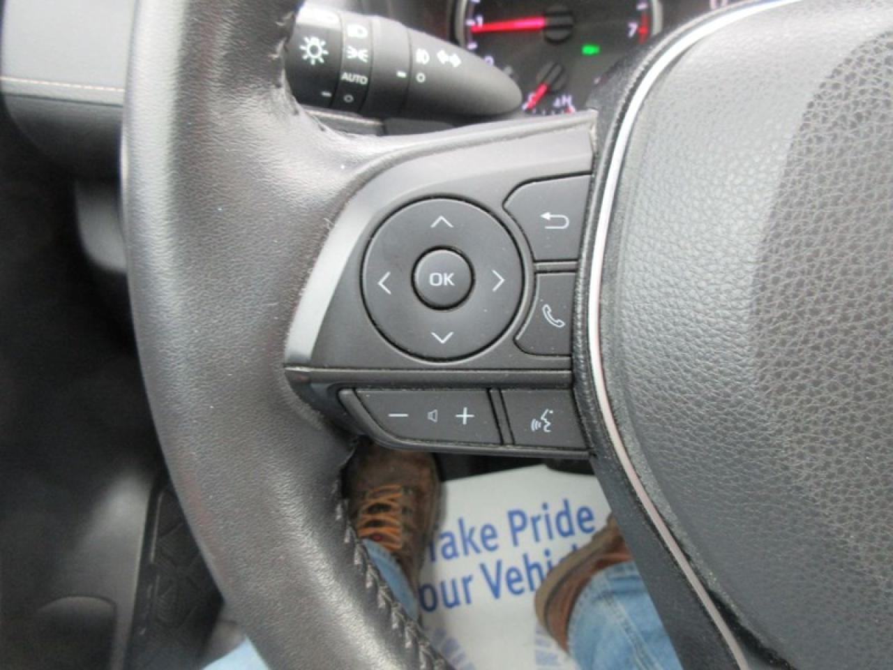 2019 Toyota RAV4 XLE FWD Photo