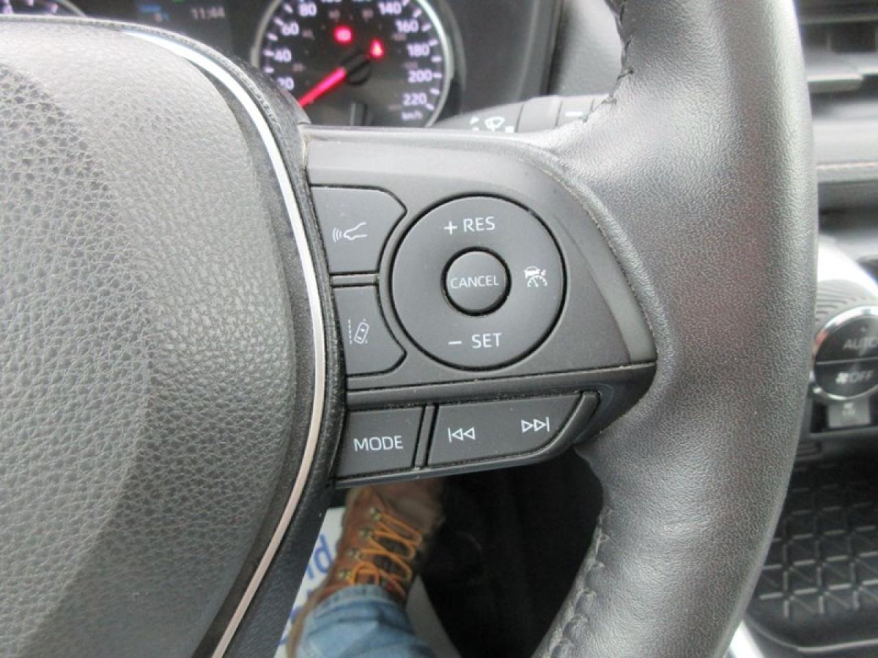 2019 Toyota RAV4 XLE FWD Photo