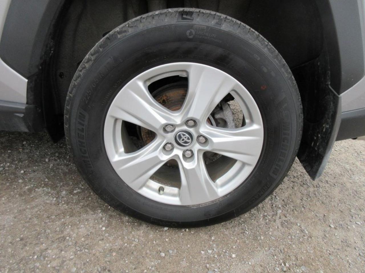 2019 Toyota RAV4 XLE FWD Photo