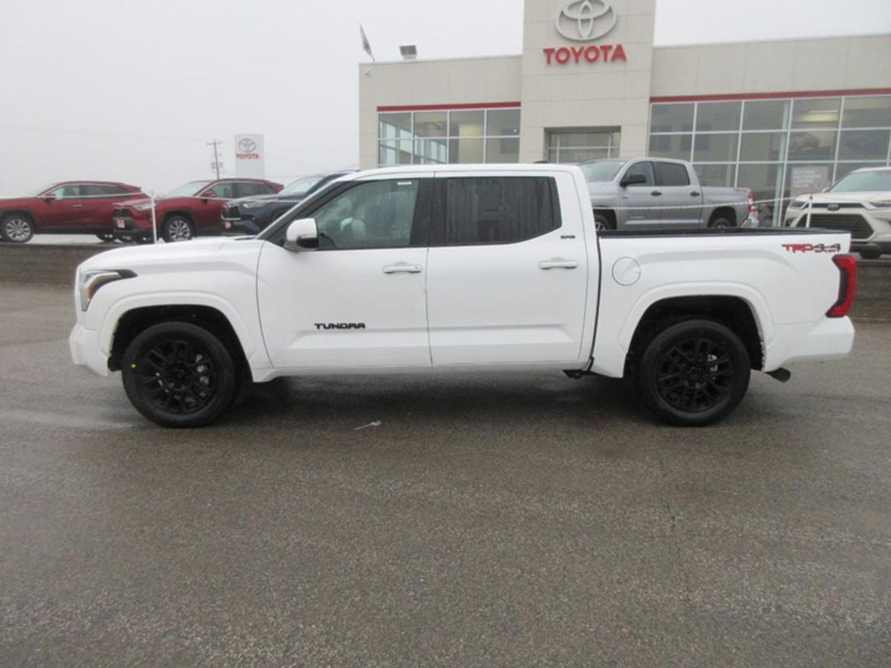 2024 Toyota Tundra SR Crew Max Photo1