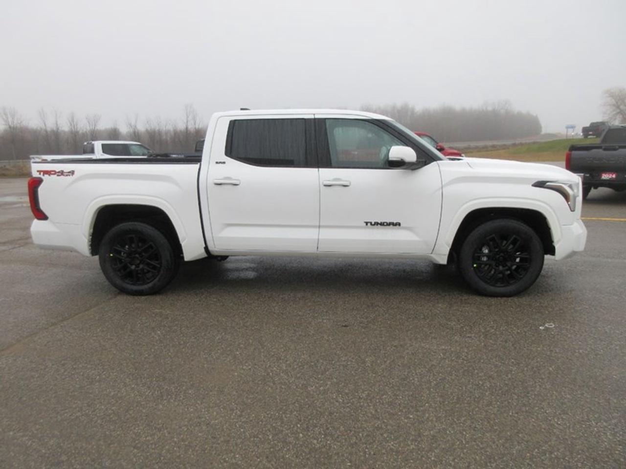 2024 Toyota Tundra SR Crew Max Photo