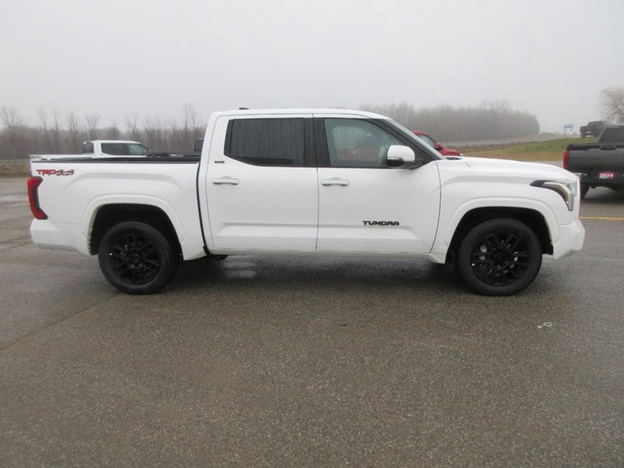 2024 Toyota Tundra SR Crew Max Photo