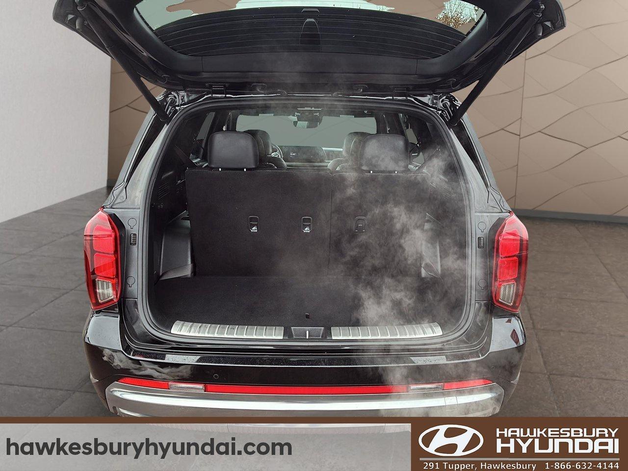 2024 Hyundai PALISADE Ultimate Calligraphy Photo