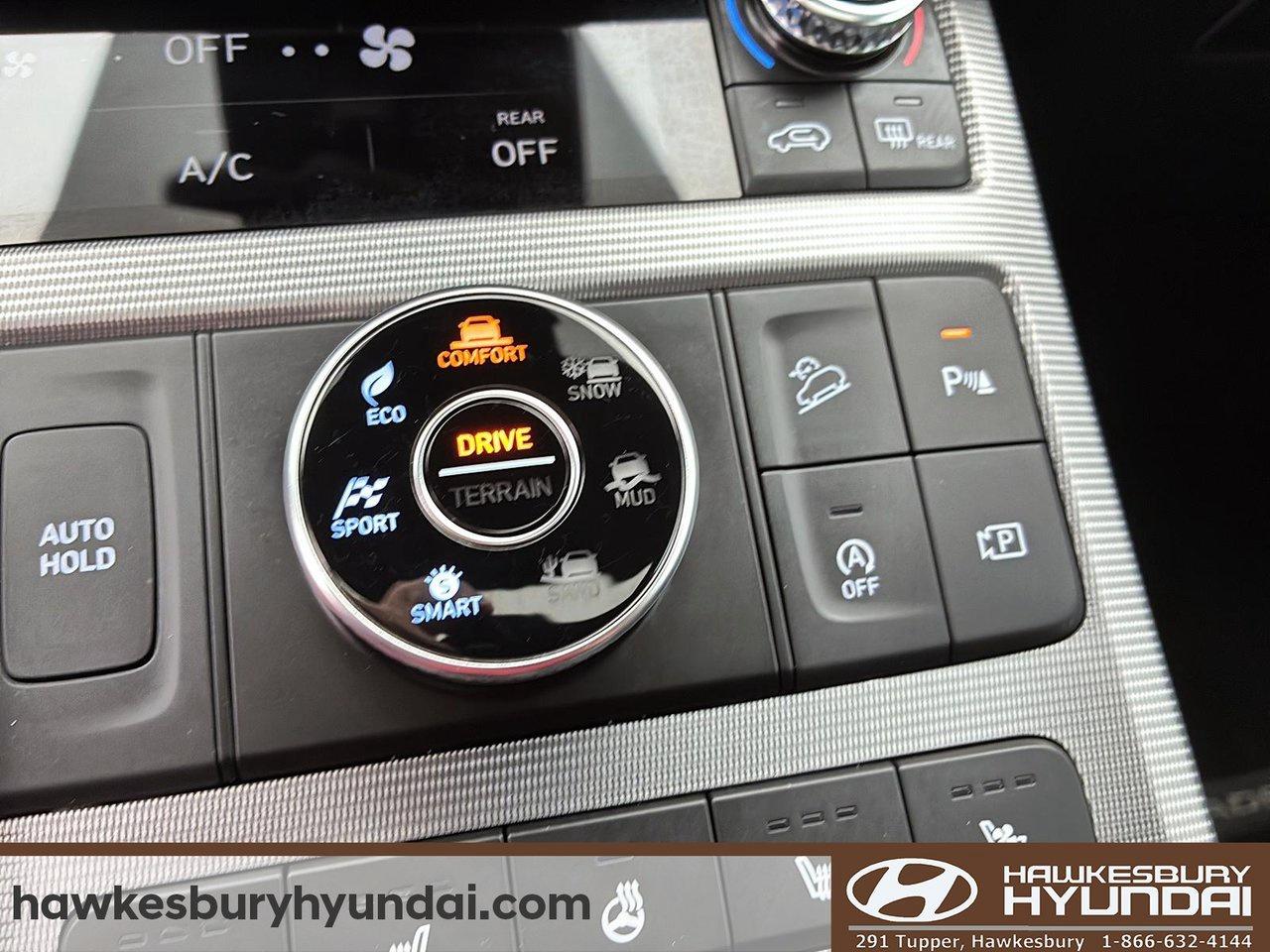 2024 Hyundai PALISADE Ultimate Calligraphy Photo