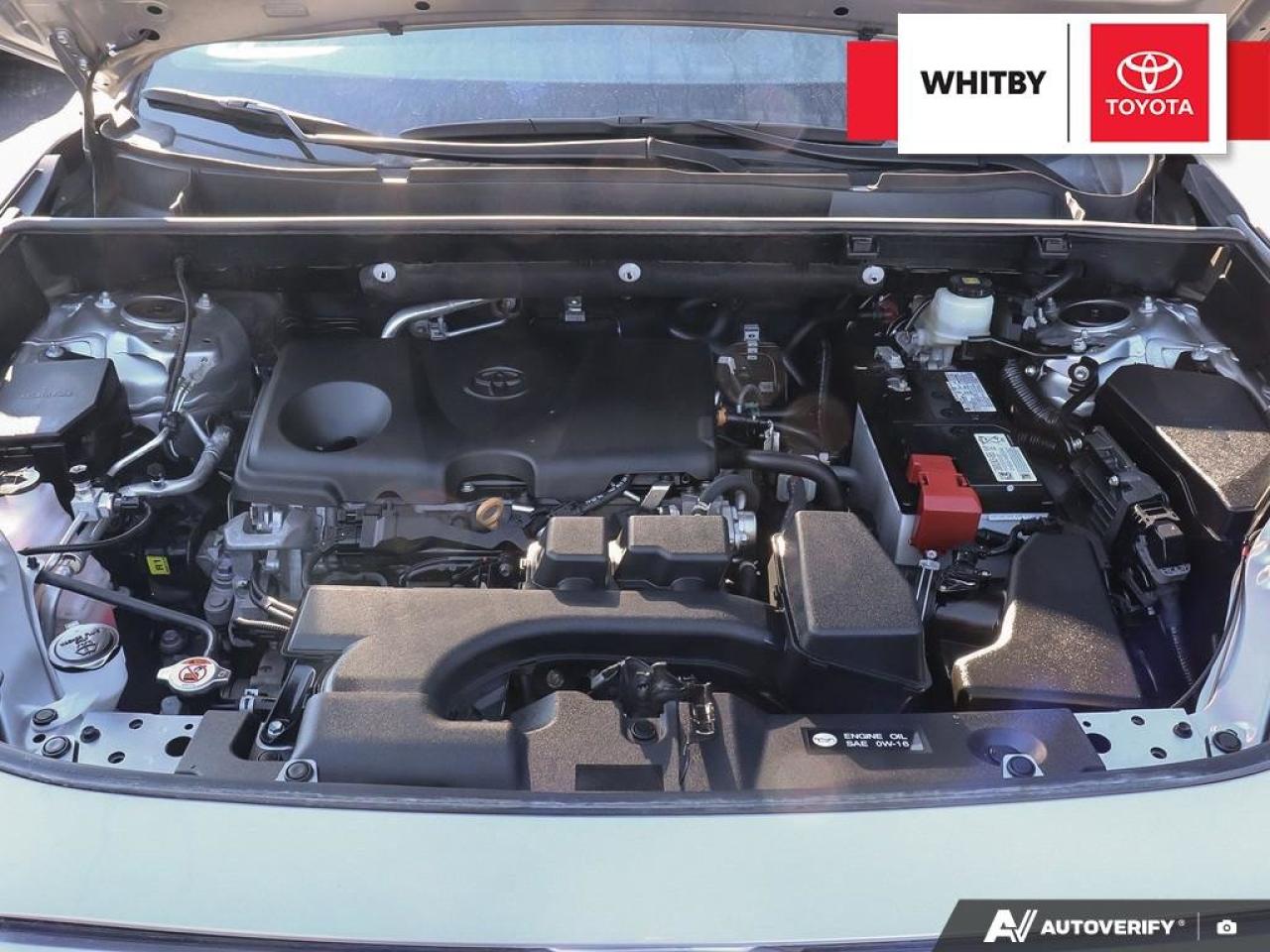 2022 Toyota RAV4 XLE 2.5L Photo