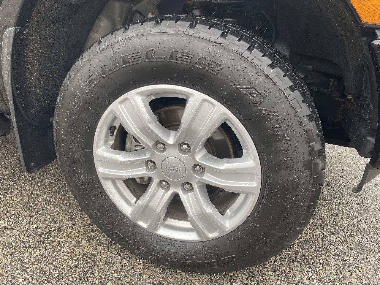 2023 Ford Ranger  Photo