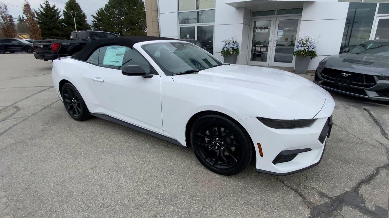2025 Ford Mustang Convertible ECOBOOST PREMIUM Photo