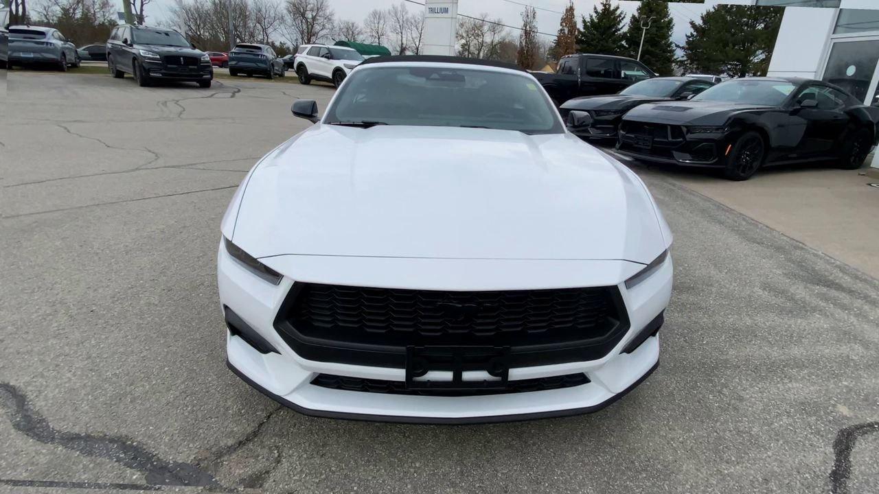 2025 Ford Mustang Convertible ECOBOOST PREMIUM Photo