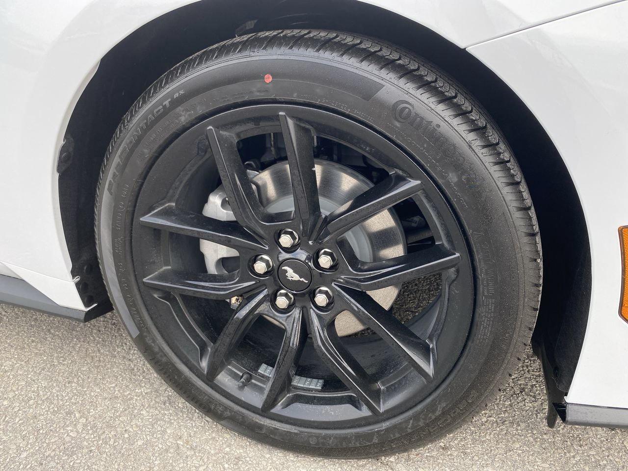 2025 Ford Mustang Convertible ECOBOOST PREMIUM Photo