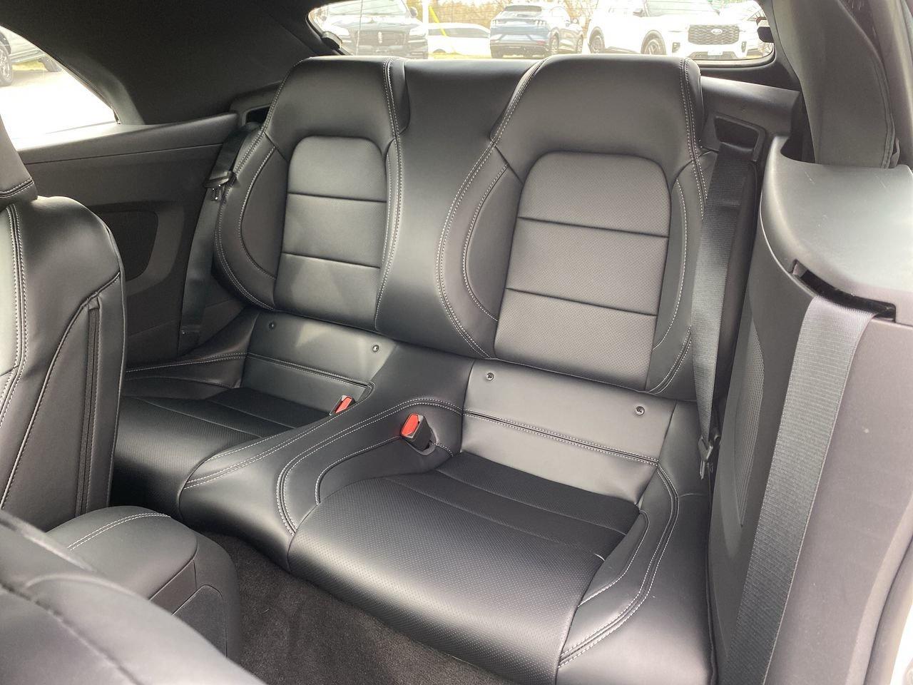 2025 Ford Mustang Convertible ECOBOOST PREMIUM Photo