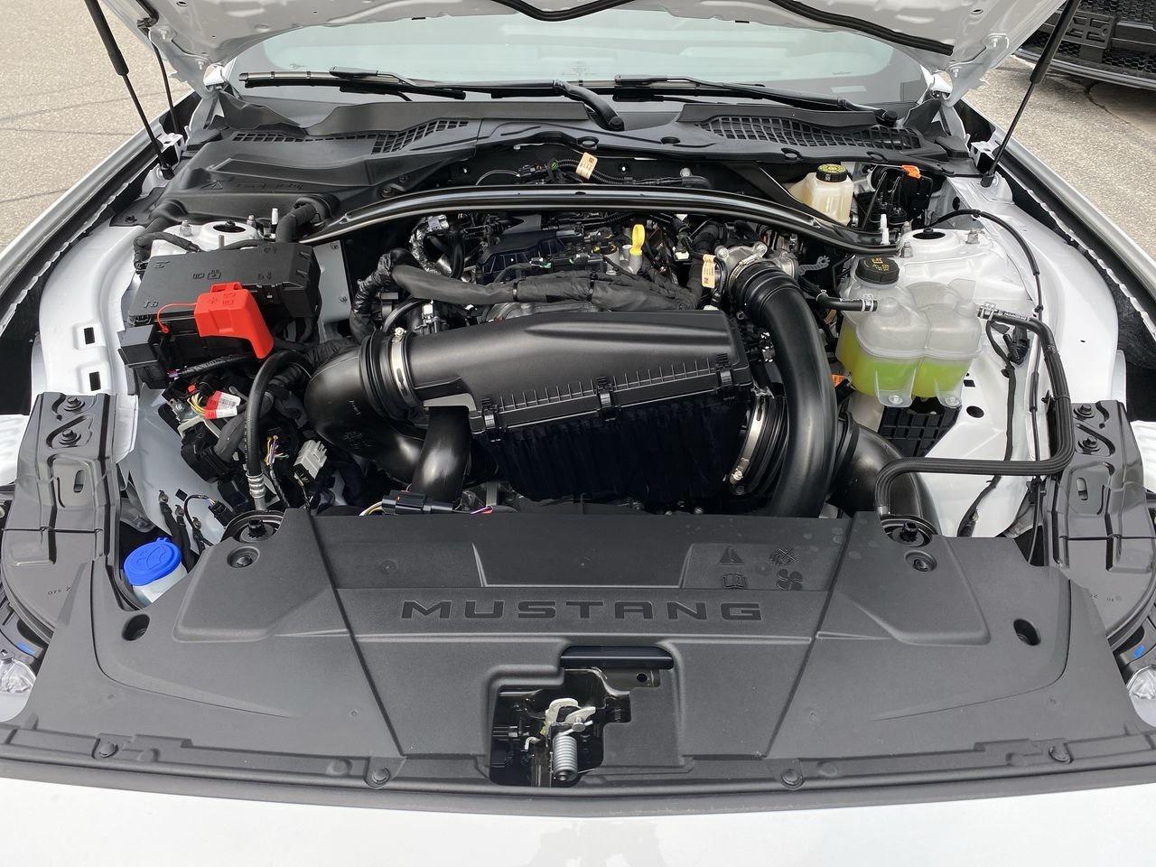 2025 Ford Mustang Convertible ECOBOOST PREMIUM Photo